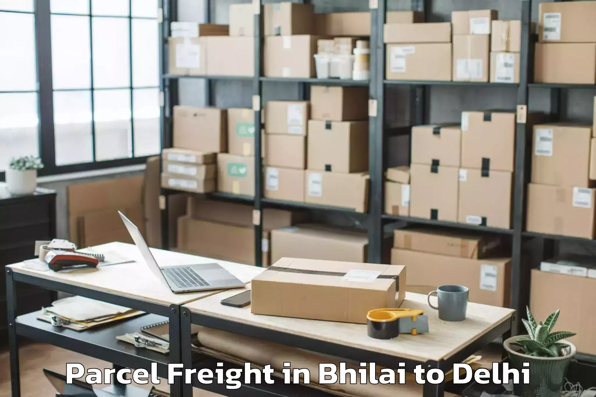 Trusted Bhilai to City Centre Mall Dwarka Parcel Freight